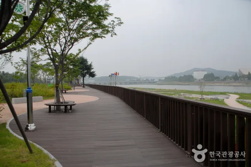 Gapcheon Stream (갑천) (5/6)