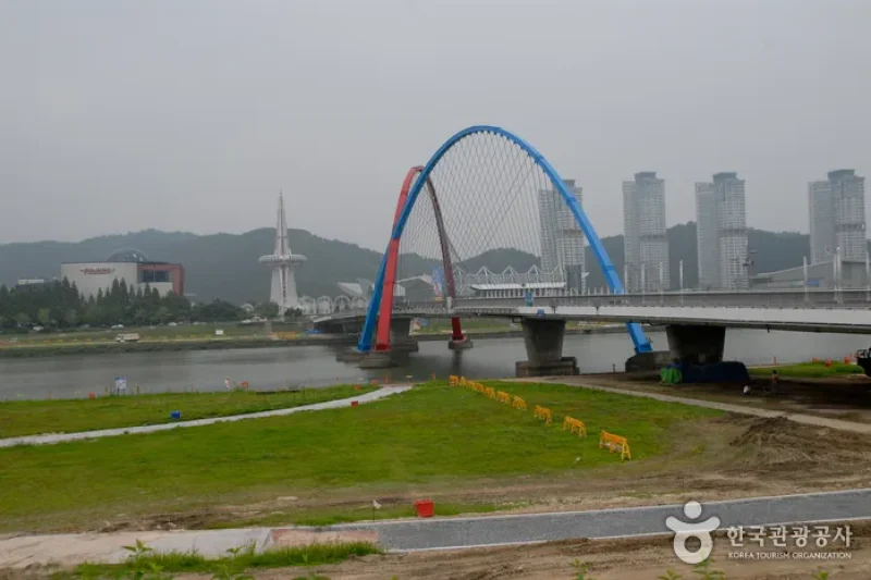 Gapcheon Stream (갑천) (6/6)