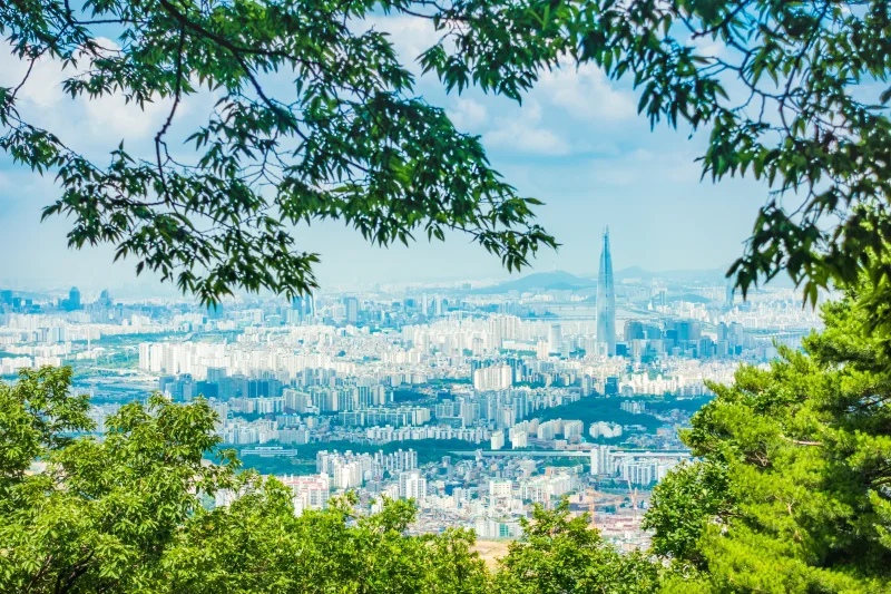 Gwanghwamun Square (38/43)