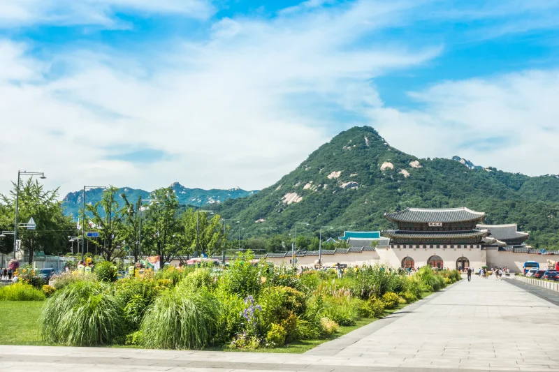 Gwanghwamun Square (41/43)