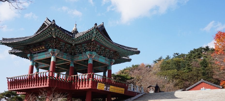Gyeongju Cherry Blossom Tour (5/18)