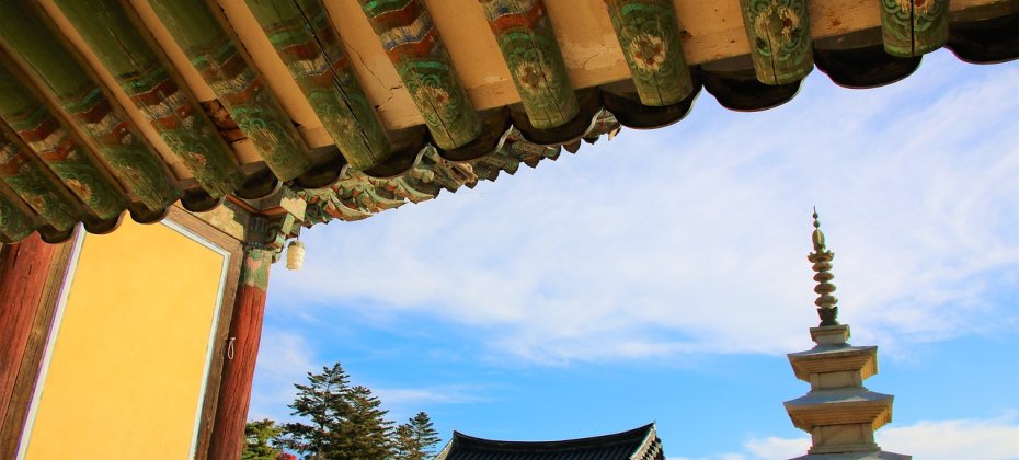Gyeongju Cherry Blossom Tour (7/18)