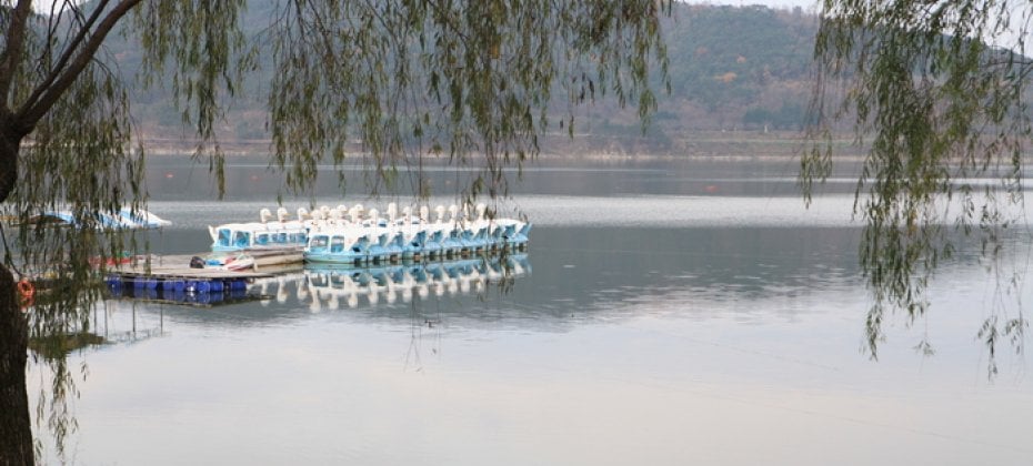Gyeongju Cherry Blossom Tour (11/18)