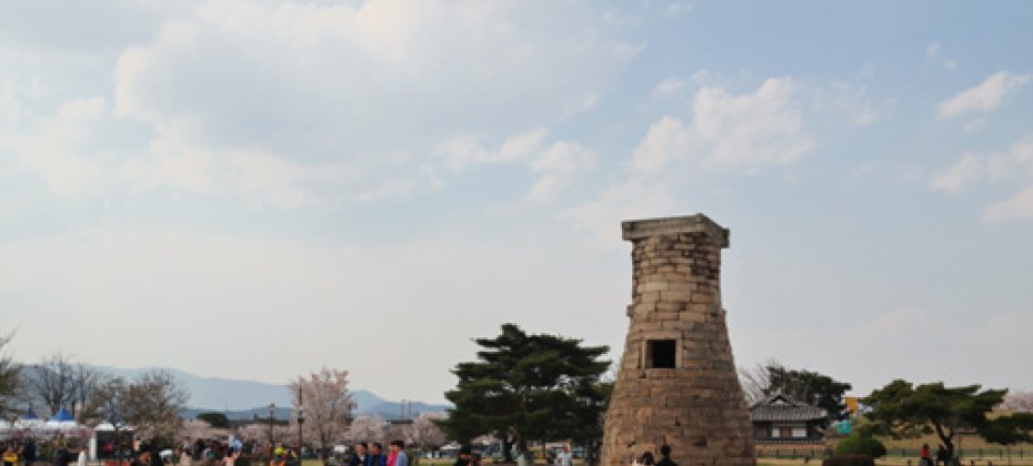 Gyeongju Cherry Blossom Tour (13/18)