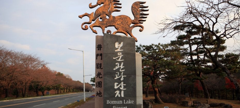Gyeongju Cherry Blossom Tour (14/18)