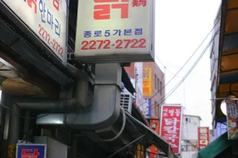 Dongdaemun Dak Hanmari Alley (서울 동대문 닭한마리 골목) (4/6)