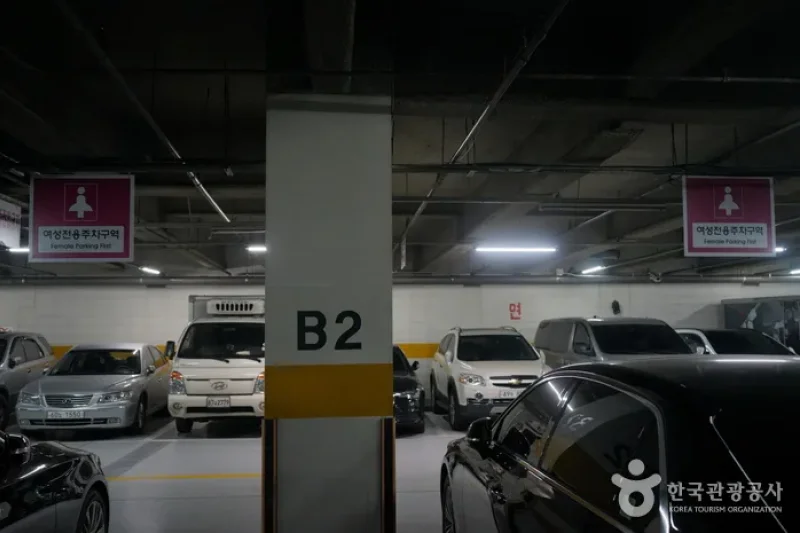 Seoul Jungbu Market  (15/27)