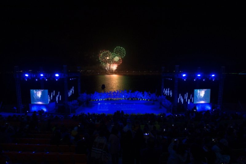 Gyeongju Cherry Blossom Festival  (7/8)