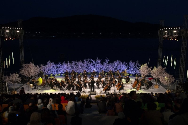 Gyeongju Cherry Blossom Festival  (8/8)