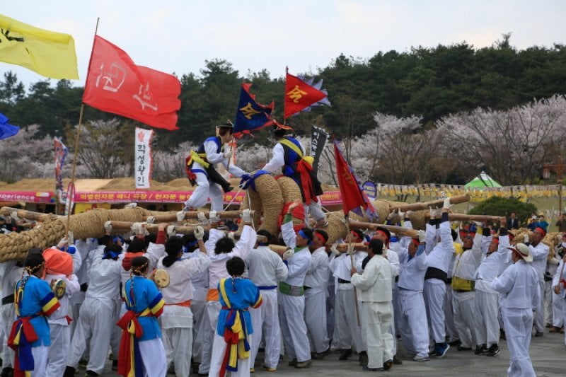 Yeongam Wangin Culture Festival  (11/14)