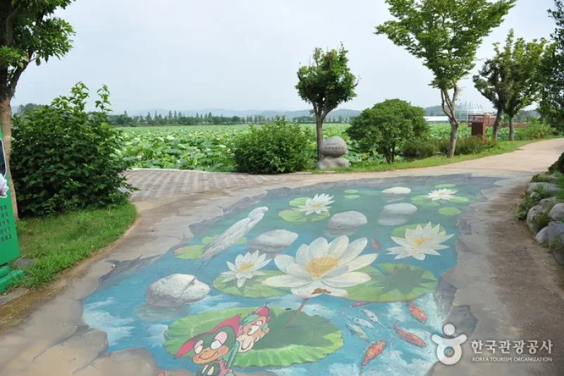 Hoesan White Lotus Pond in Muan  (10/23)