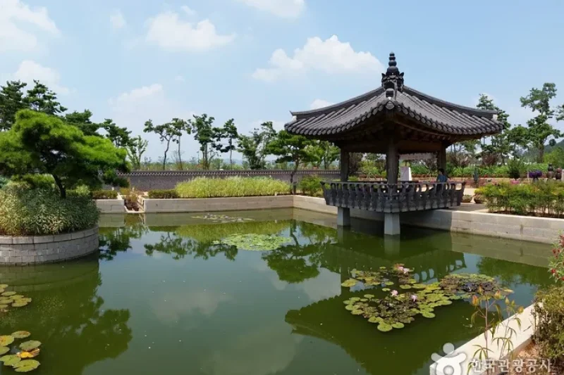 Hoesan White Lotus Pond in Muan  (23/23)