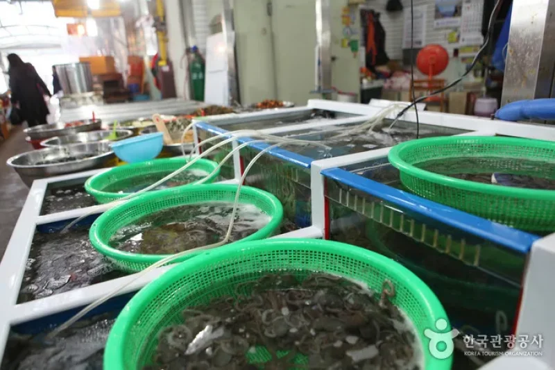 Mokpo Jayu Market (Namjin Night Market) (목포 자유시장 (남진야시장))