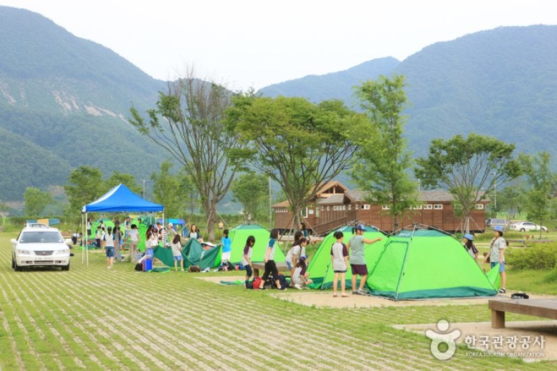 Jaraseom Island Auto Campground (자라섬오토캠핑장) (2/6)