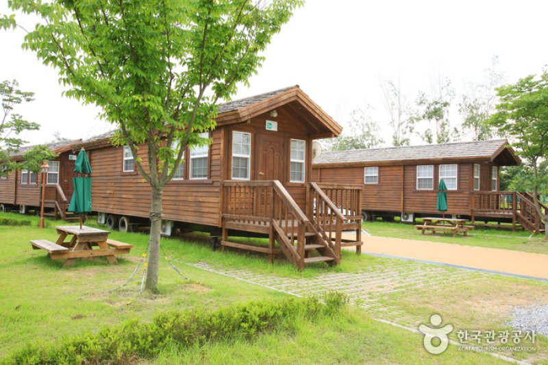 Jaraseom Island Auto Campground (자라섬오토캠핑장) (6/6)