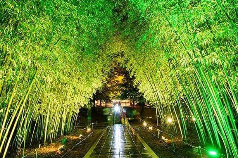 Walk with a King (전주 한옥마을 경기전 왕과의 산책) (1/9)