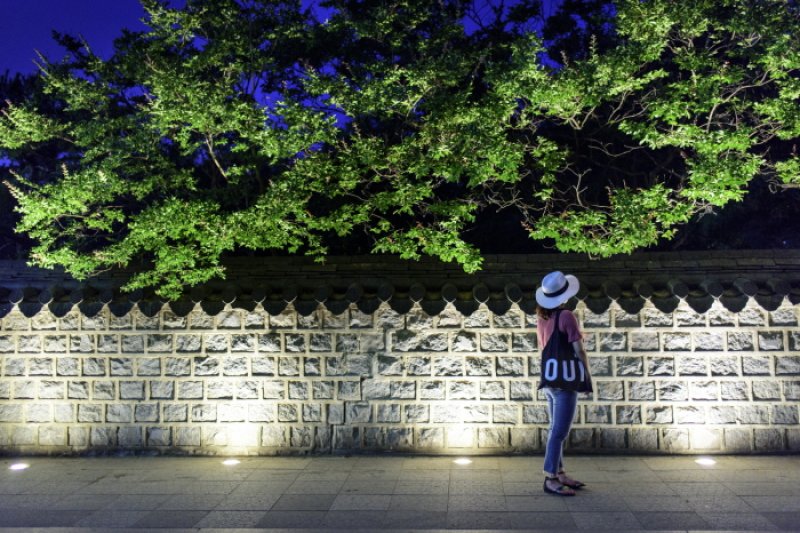 Walk with a King (전주 한옥마을 경기전 왕과의 산책) (6/9)