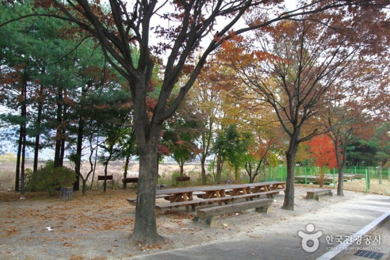 Yuseong Youth Hostel (유성 유스호스텔) (3/4)
