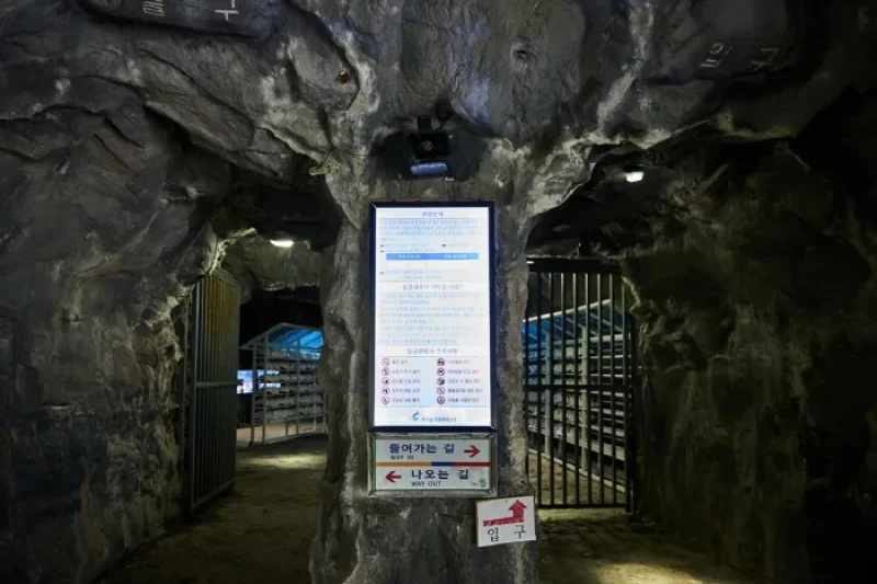 Gossi Cave  (12/12)