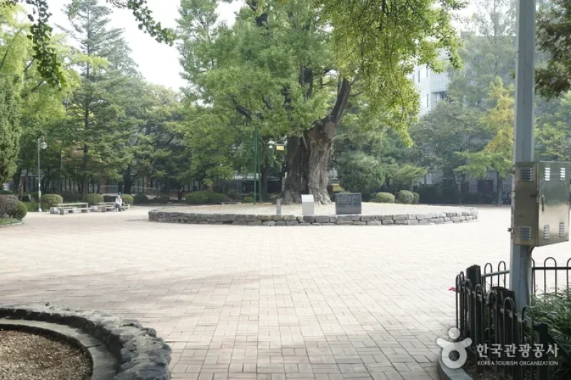 Jungang Park  (9/14)