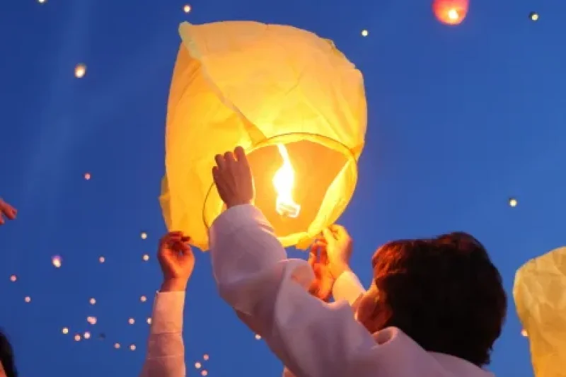 Colorful Merrymaking at the Lantern Festival  (6/11)