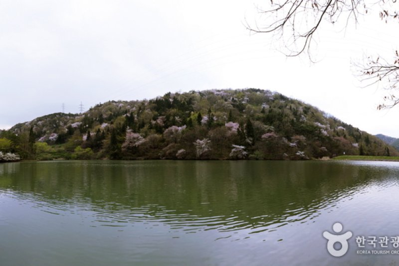 Seryangji Reservoir (세량지) (2/9)