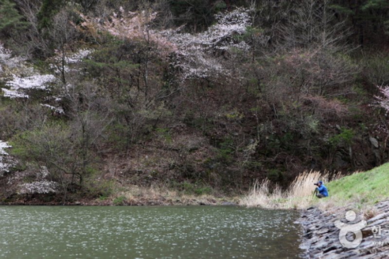 Seryangji Reservoir (세량지) (3/9)
