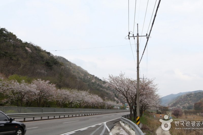 Seryangji Reservoir (세량지) (6/9)