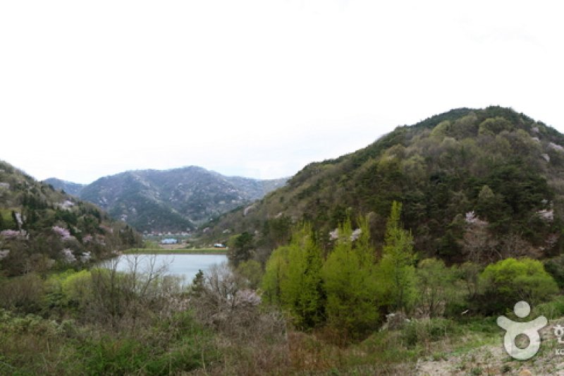 Seryangji Reservoir (세량지) (8/9)