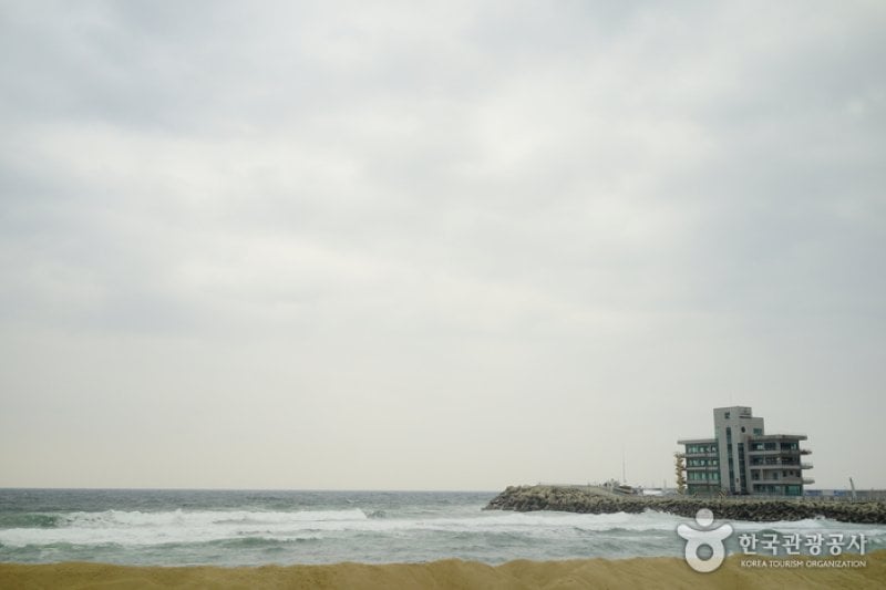 Gangneung Coffee Street  (18/29)