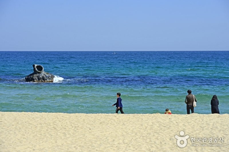 Gangneung Coffee Street  (23/29)
