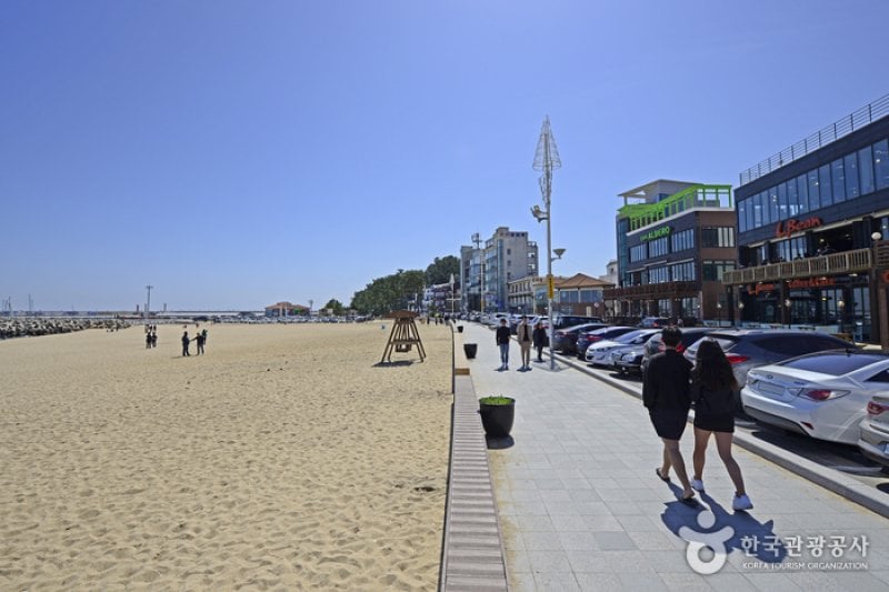 Gangneung Coffee Street  (25/29)