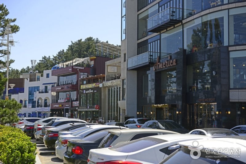 Gangneung Coffee Street  (26/29)