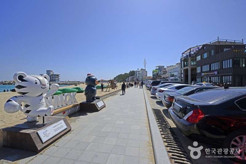 Gangneung Coffee Street  (28/29)