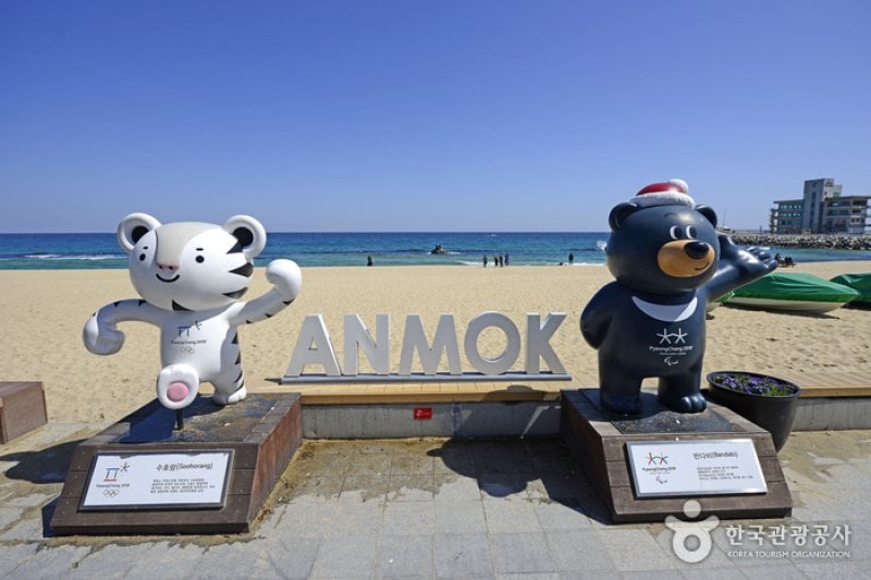 Gangneung Coffee Street  (29/29)