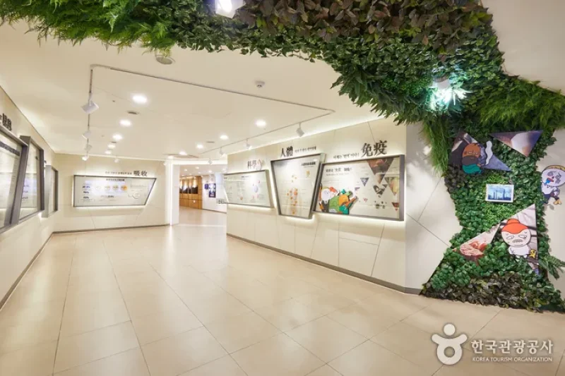 Cheongha Korea Ginseng Co., Ltd.(청하고려인삼) (18/27)