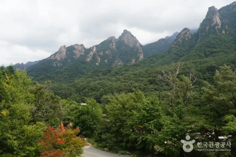 Seorak Sogongwon Cable Car Tour  (20/23)