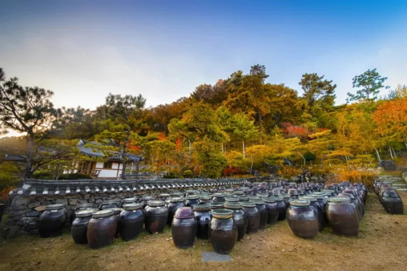 Joseon Wangga (농업회사법인 조선왕가 주식회사) (2/6)