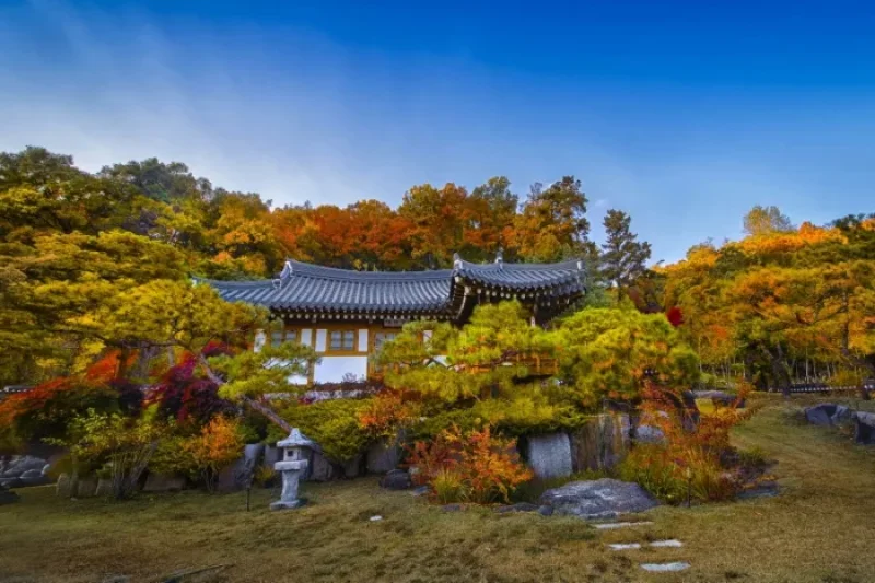 Joseon Wangga (농업회사법인 조선왕가 주식회사) (3/6)