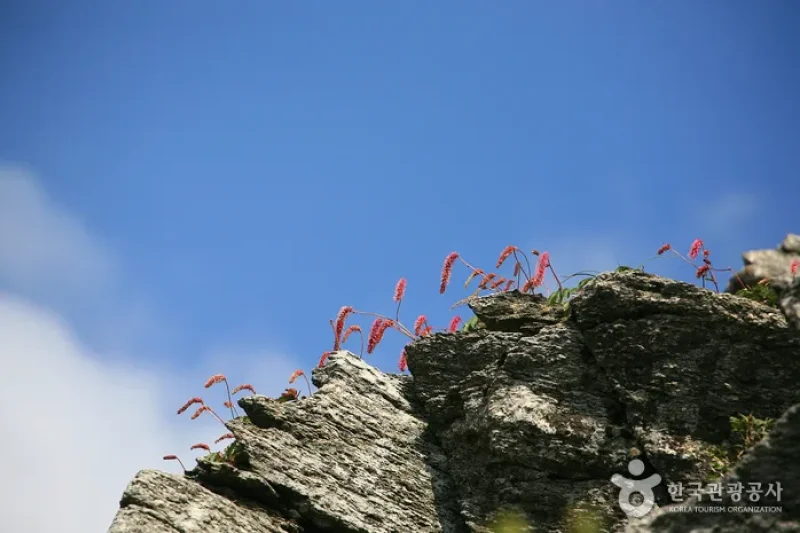 Deogyusan National Park  (39/44)