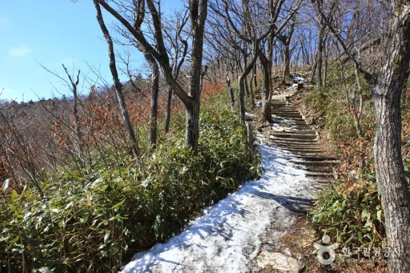 Deogyusan National Park  (44/44)