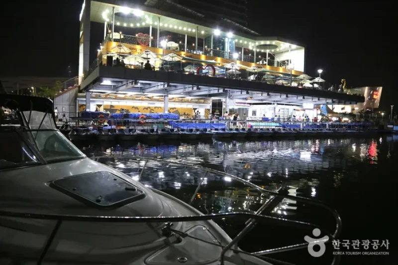 Songdo Central Park  (7/10)