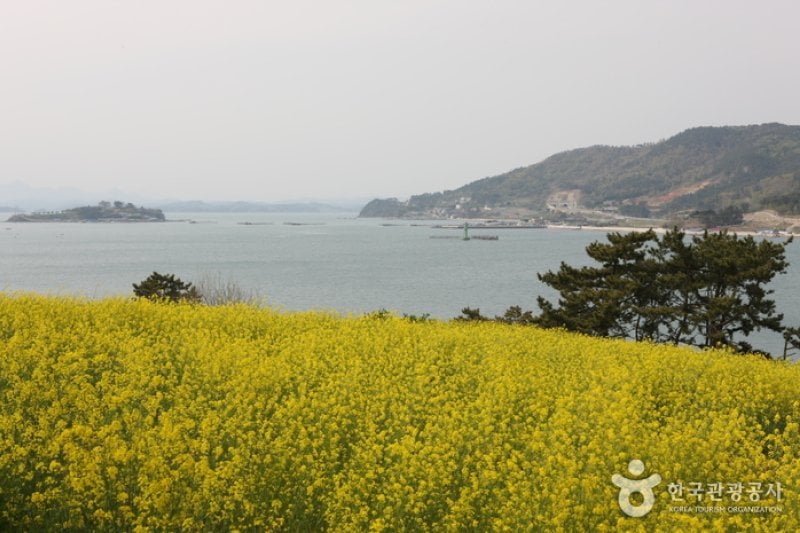Hallyeo Waterway  (9/9)