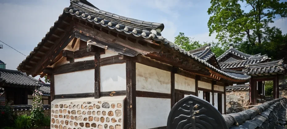 Glocal Sightseeing Tour - Incheon Ganghwa History 1 Day Tour(from Seoul) (6/51)