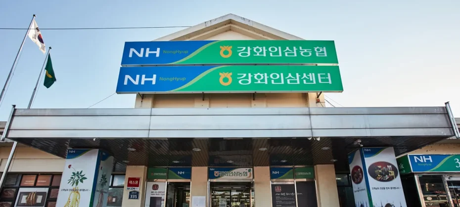 Glocal Sightseeing Tour - Incheon Ganghwa History 1 Day Tour(from Seoul) (10/51)