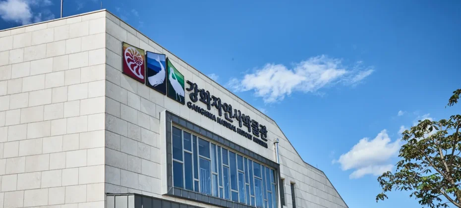 Glocal Sightseeing Tour - Incheon Ganghwa History 1 Day Tour(from Seoul) (50/51)