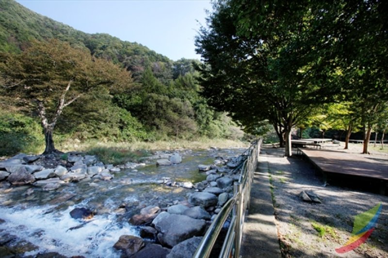 Banghwadong Natural Recreation Forest  (1/4)