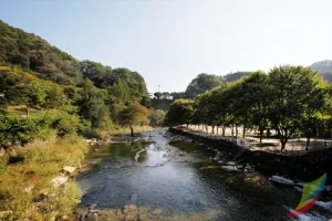 Banghwadong Natural Recreation Forest 