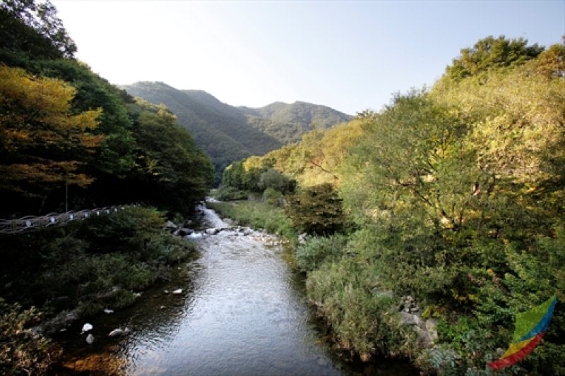 Banghwadong Natural Recreation Forest  (4/4)