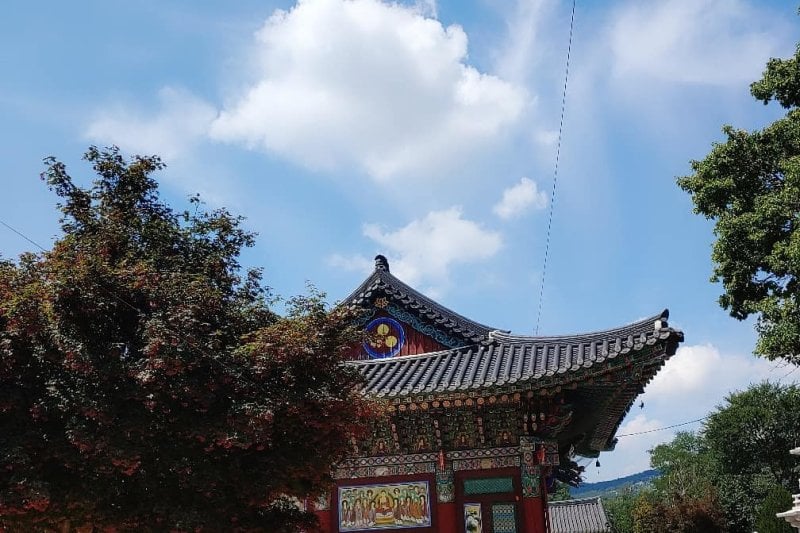 Yeonhwasa Temple  (1/2)